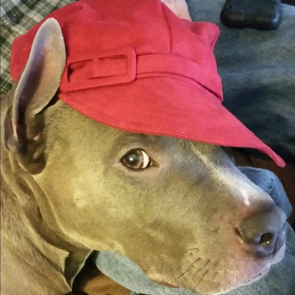 Meet your Posher, Trish - Picture 3 of 4